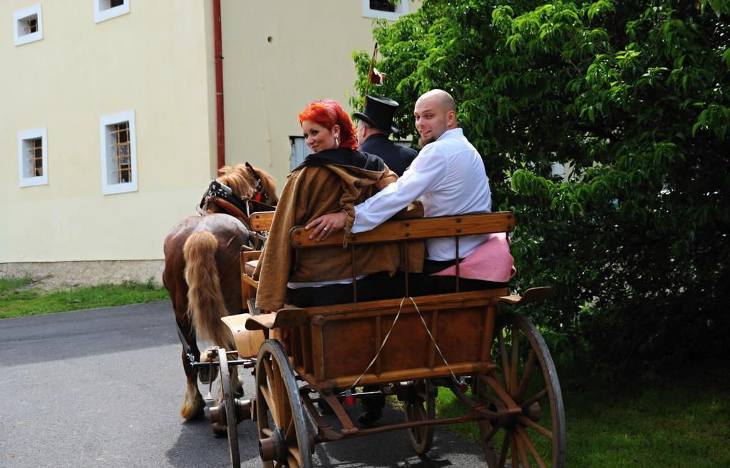 Penzion Zamek Rozsochatec Extérieur photo